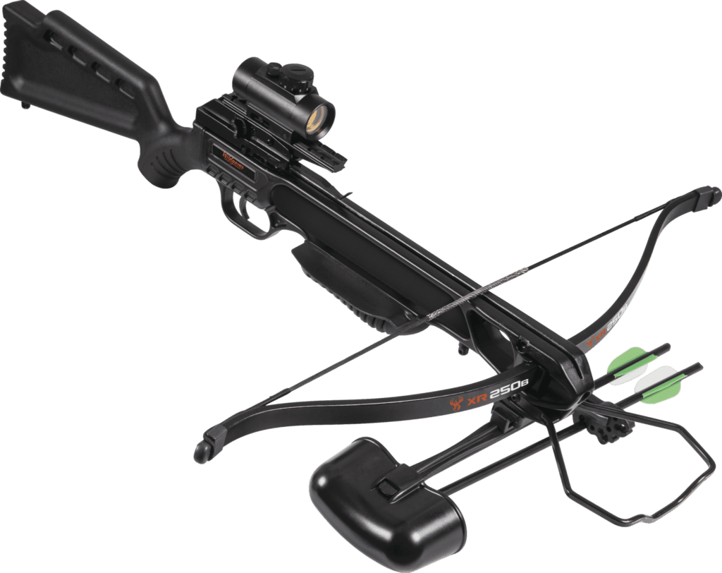 crossbow vs compound crossbow