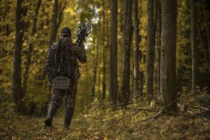 crossbow in woods